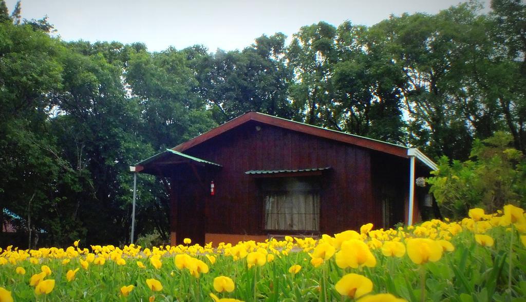 Cabanas La Pradera モンテベルデ エクステリア 写真
